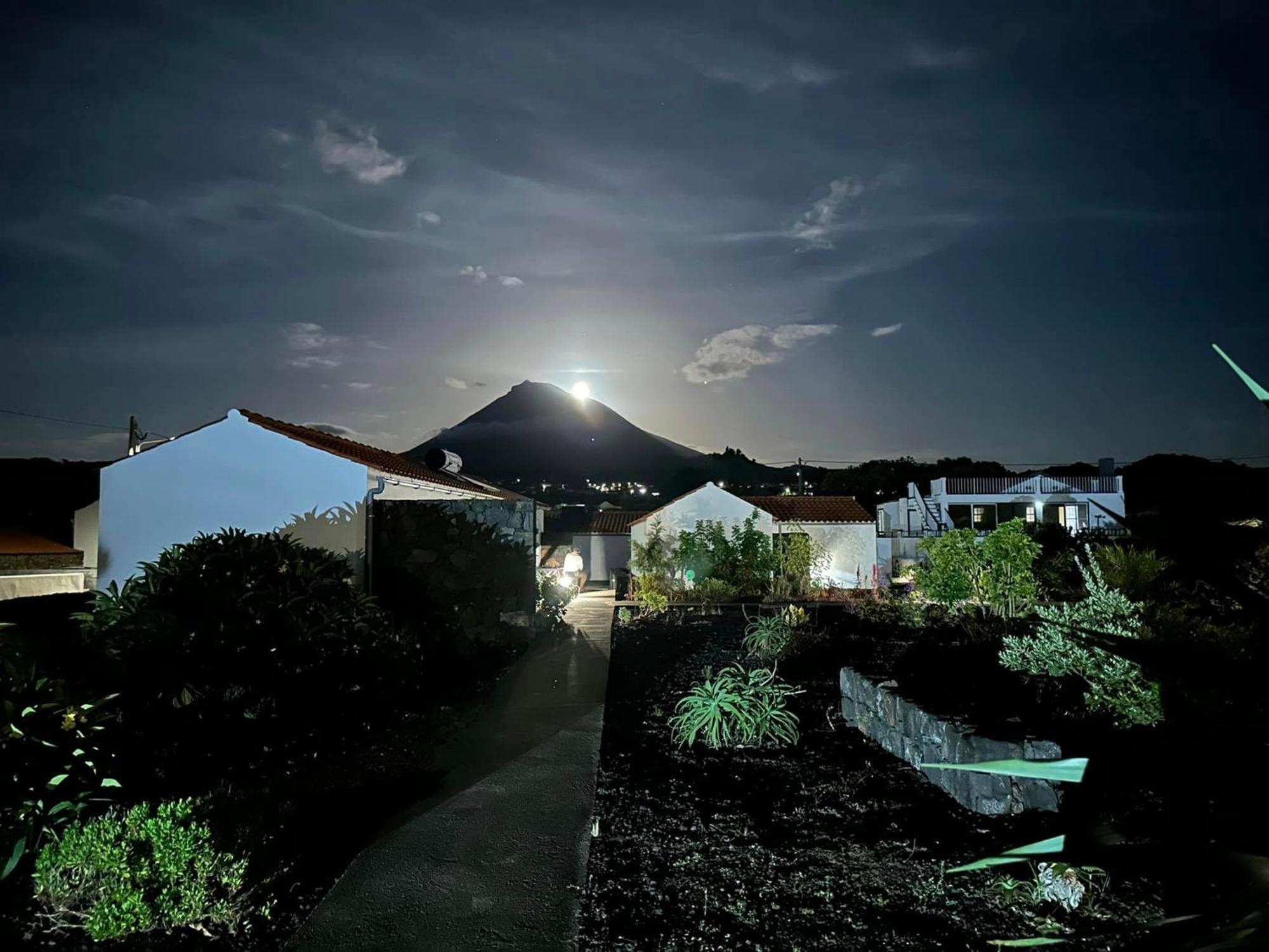 Casas Do Verdelho Madalena  Esterno foto
